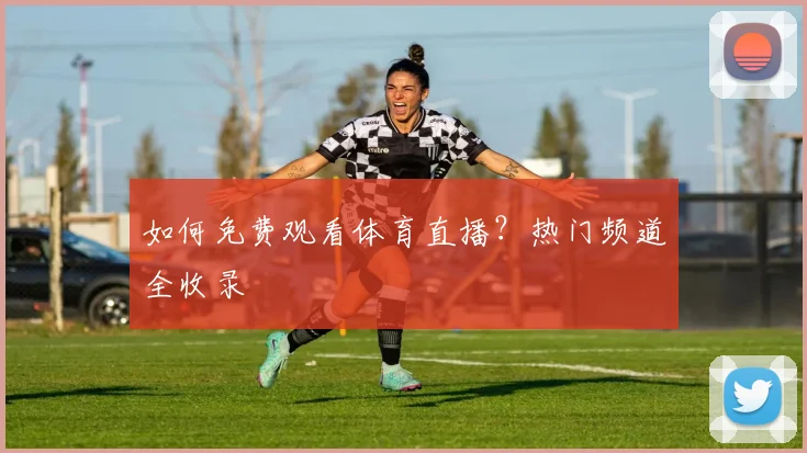 如何免费观看体育直播？热门频道全收录