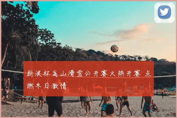 新浪杯高山滑雪公开赛火热开赛 点燃冬日激情