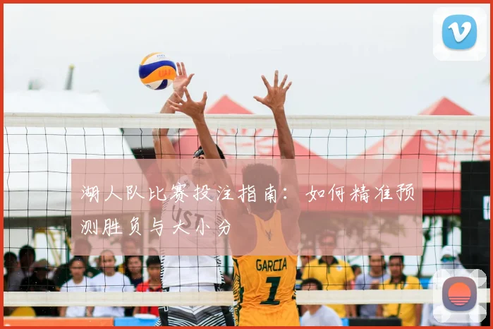 湖人队比赛投注指南：如何精准预测胜负与大小分