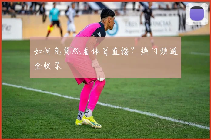 如何免费观看体育直播？热门频道全收录