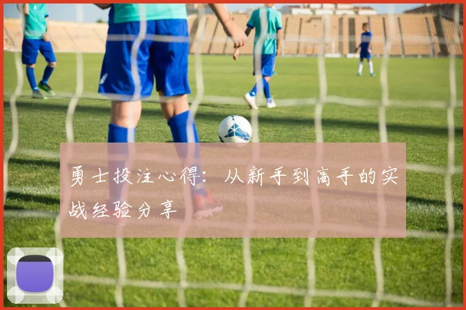勇士投注心得：从新手到高手的实战经验分享
