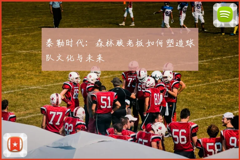 泰勒时代：森林狼老板如何塑造球队文化与未来