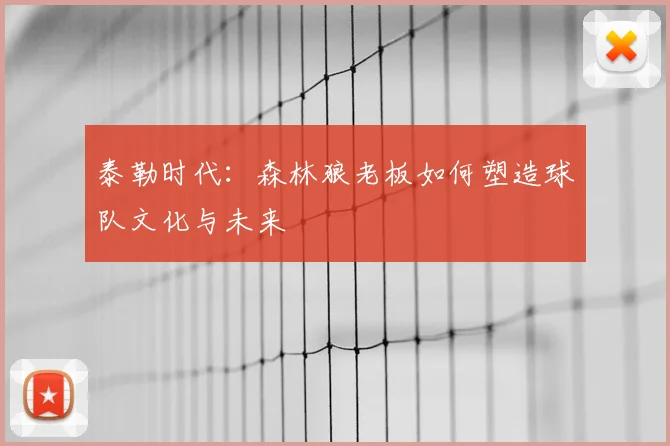 泰勒时代：森林狼老板如何塑造球队文化与未来
